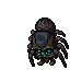 Gloom Widow